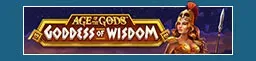 Wild Crusade: Empire Treasures